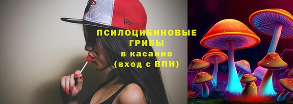 каннабис Белокуриха