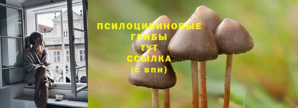 2c-b Богородицк