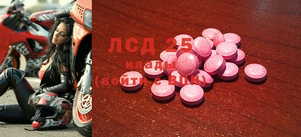гидра Грязовец