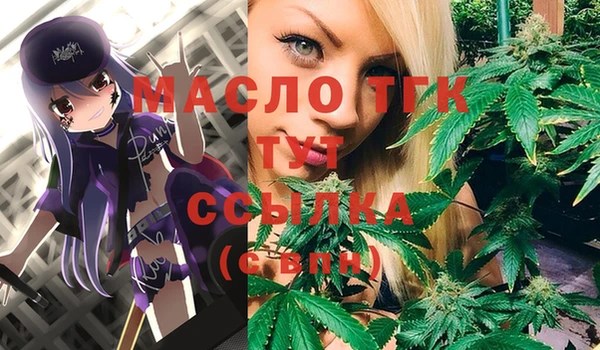2c-b Богородицк