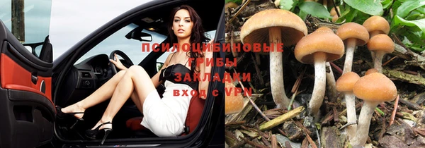 не бодяженный Богданович