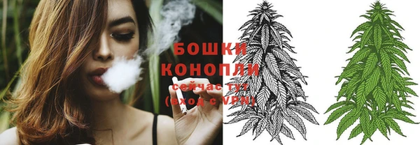 2c-b Богородицк