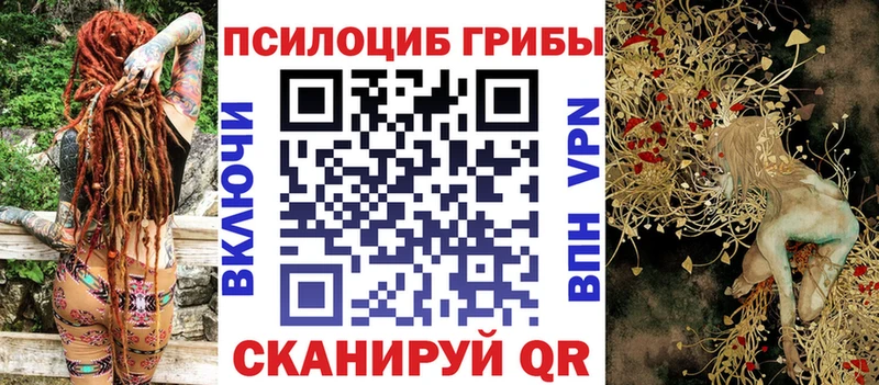 даркнет формула  Кушва  Галлюциногенные грибы GOLDEN TEACHER 